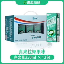 9 months of production Mengniu real fruit coconut flavor 250g * 12 boxes of nutrition balance discount promotion multi province
