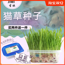 Pet cat grass snack supplies cat grass seed snacks stomach conditioning hair ball cat grass box set