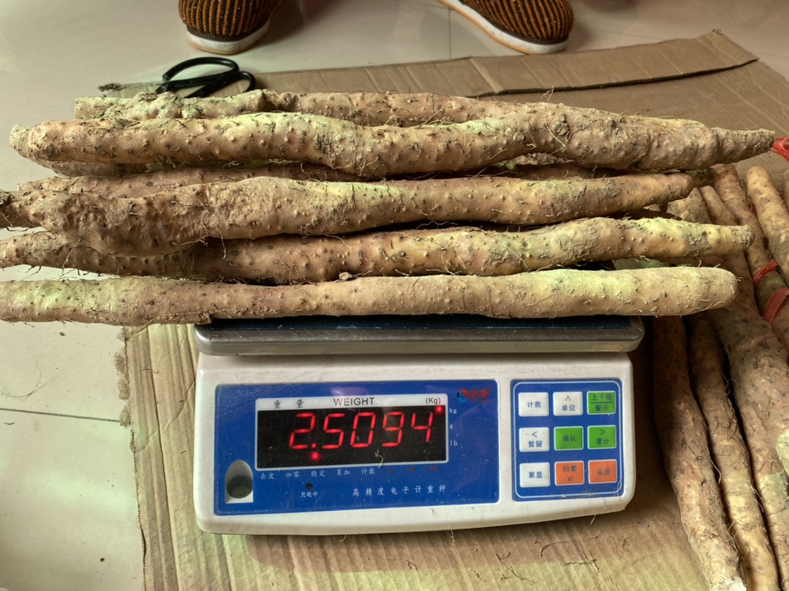 Jiao Zuowen County Fresh Huaiyams (Help for Mom to sell) - Taobao