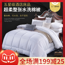 Hotel hotel quilted velvet summer quilt spring and autumn quilt core air conditioning grinding winter quilt Star hotel quilt