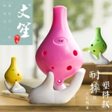 TOUEO 6 -отверстие звук C настроено пластиковое шесть -отверстие Ac Ant -Drop Plaalte Plastic Tinpoberry Детский студент -студент.