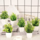 Simulated artificial flowers, home table creative ornaments, plastic flowers, fake grass and green plants, indoor ornaments, mini ornaments, bonsai