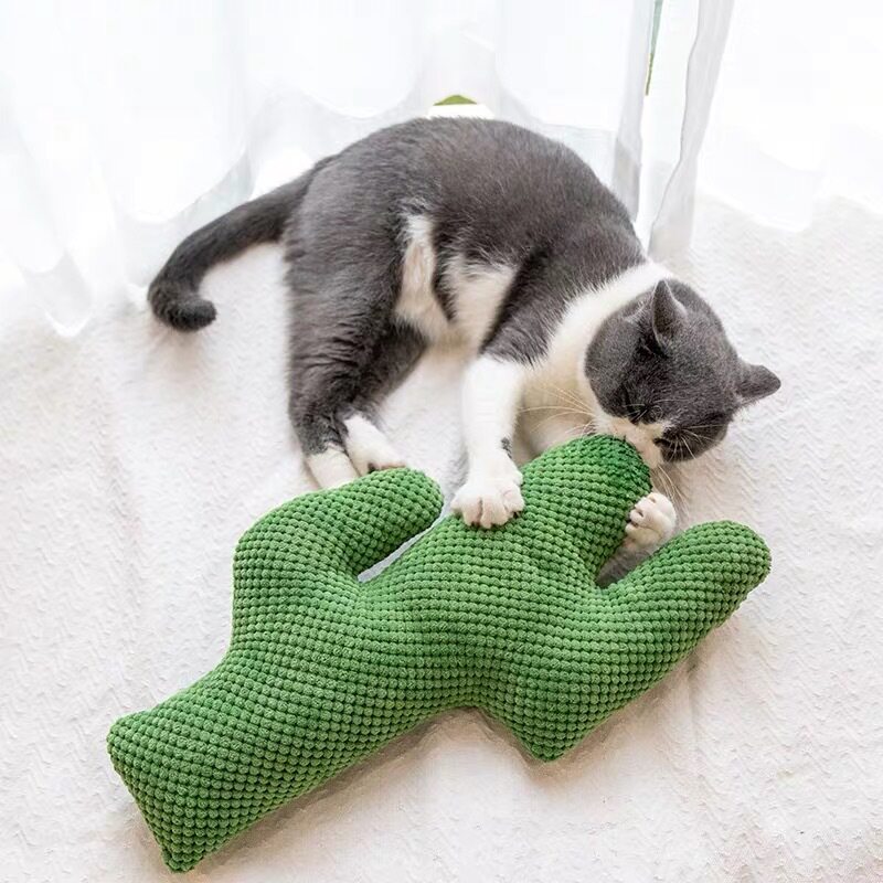 Cactus pillow and toys tease cat toys to grind teeth and bite and pillow pet since Hi cat supplies