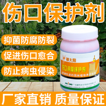 Plant tree wound healing mixture fruit tree grafting medicine wound paste bonsai sealing universal stump sapling antiseptic