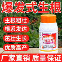 Rooting agent strong rooting powder flower cutting rooting liquid rooting agent rooting water plant universal fruit tree seedling agent