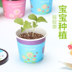 mic loa kéo Phòng ngủ văn phòng sáng tạo Máy tính để bàn Mini Dễ thương Cây trồng trong chậu Hoa nhỏ Cuộc sống cần thiết hàng ngày Cửa hàng bách hóa - Micrô mic at100 Micrô