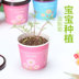 mic loa kéo Phòng ngủ văn phòng sáng tạo Máy tính để bàn Mini Dễ thương Cây trồng trong chậu Hoa nhỏ Cuộc sống cần thiết hàng ngày Cửa hàng bách hóa - Micrô mic at100 Micrô