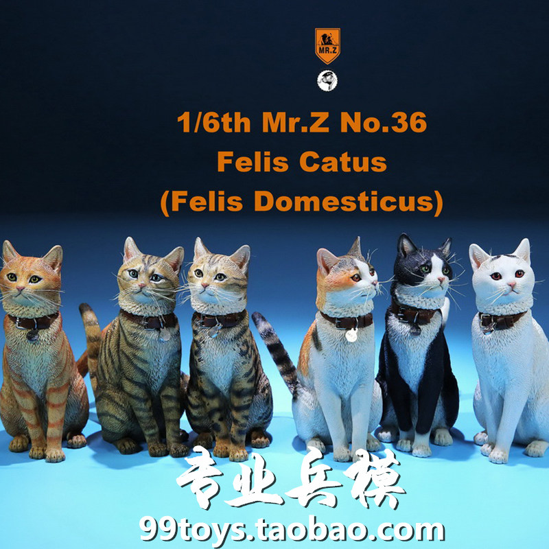Mr Z 1 6Mr Z036-FC001 Simulation animal model 36th bullet domestic cat full set of 6 colors in stock