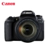 Máy ảnh DSLR có thể thay thế Canon EOS 77D ống kính 18-135mm Máy ảnh DSLR được cấp phép Authentic - SLR kỹ thuật số chuyên nghiệp SLR kỹ thuật số chuyên nghiệp