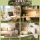 Гидропонное украшение украшение офисного рабочего стола украшение дома прозрачная стеклянная посуда гидропонное растение чайный стол украшение гостиной mini 4