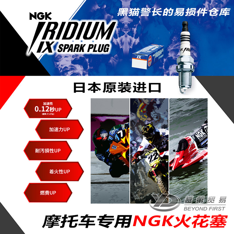 The NGK Two-Prong Spark Plug LMAR9D-J works with the BMW Motorcycle S1000RR XR HP4 G310GS R