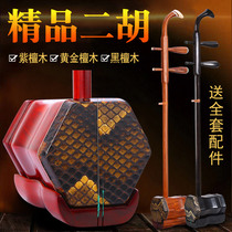 Red sandalwood large volume erhu musical instrument beginner adult children general professional performance factory direct Huqin