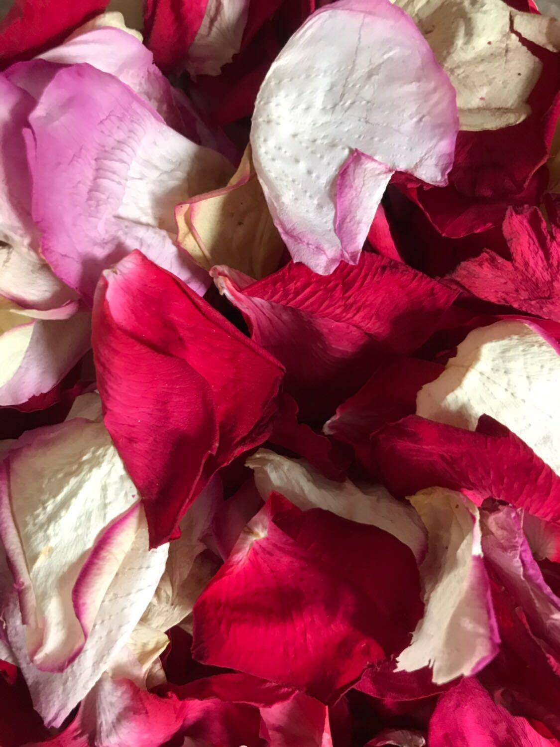 New color bubble bath petals 500g rose dry petals bath pure milk bath footbath spa beauty salon