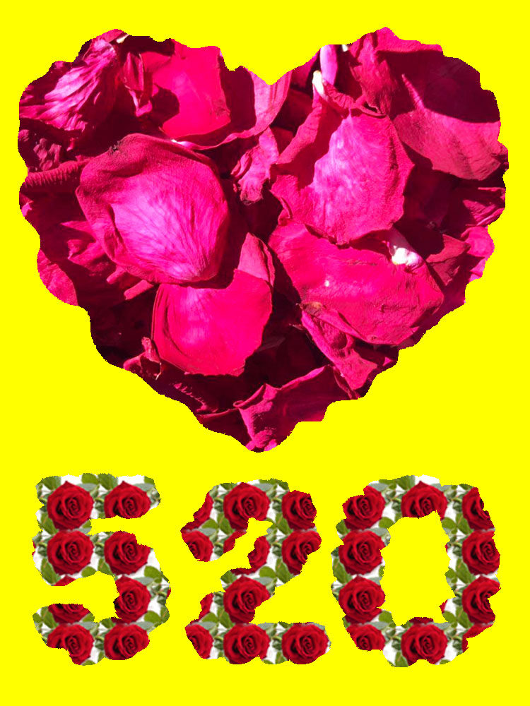 (2022 New Flowers) Rose Dried Petals 1000g Bath Soak Feet Milk Bath Bubble Bath Foot Bath Wedding