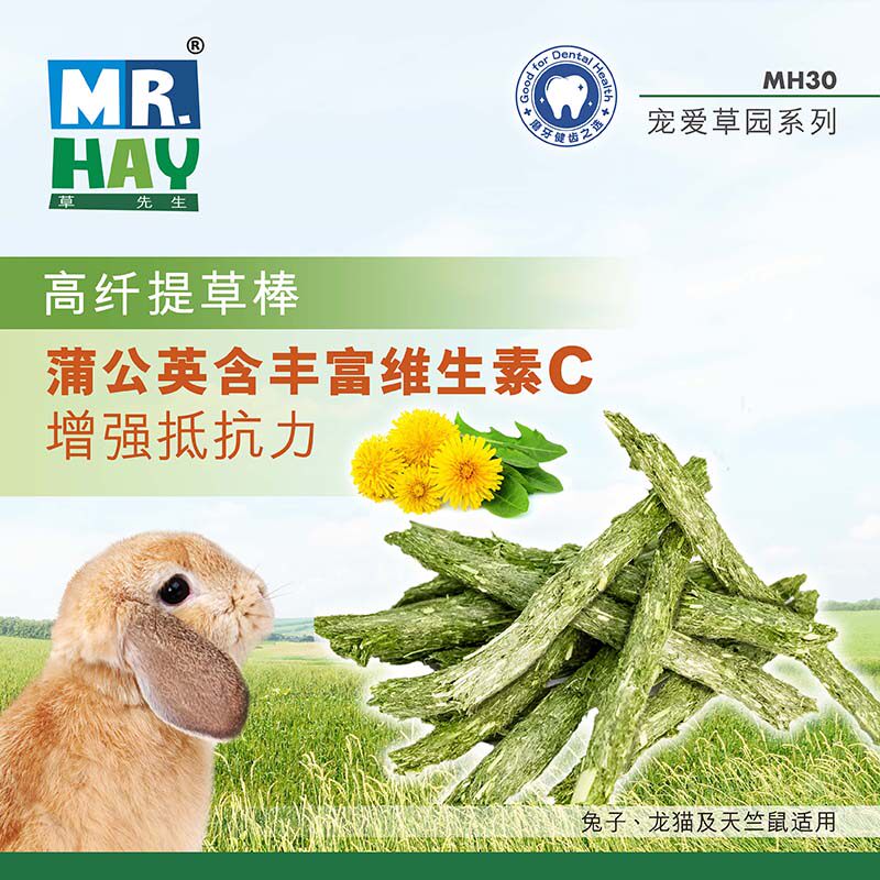 Mr. Grass mention Moshe grass sticks with crunchy gritty grassy grassy rabbit dragon cat snacks Dutch pig rabbit grinders