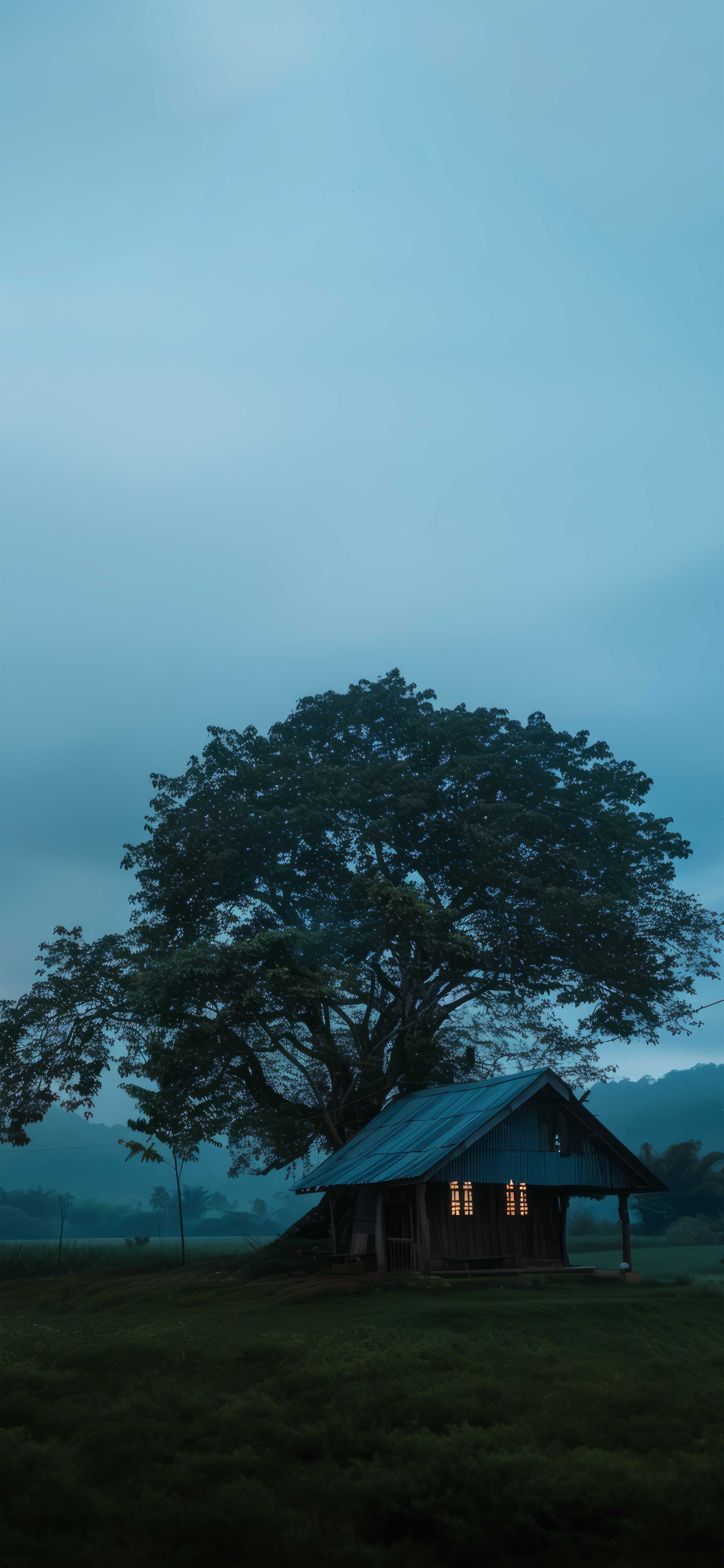 雾中大树木屋 4K 高清手机壁纸 静谧治愈田园风景锁屏图片无水印