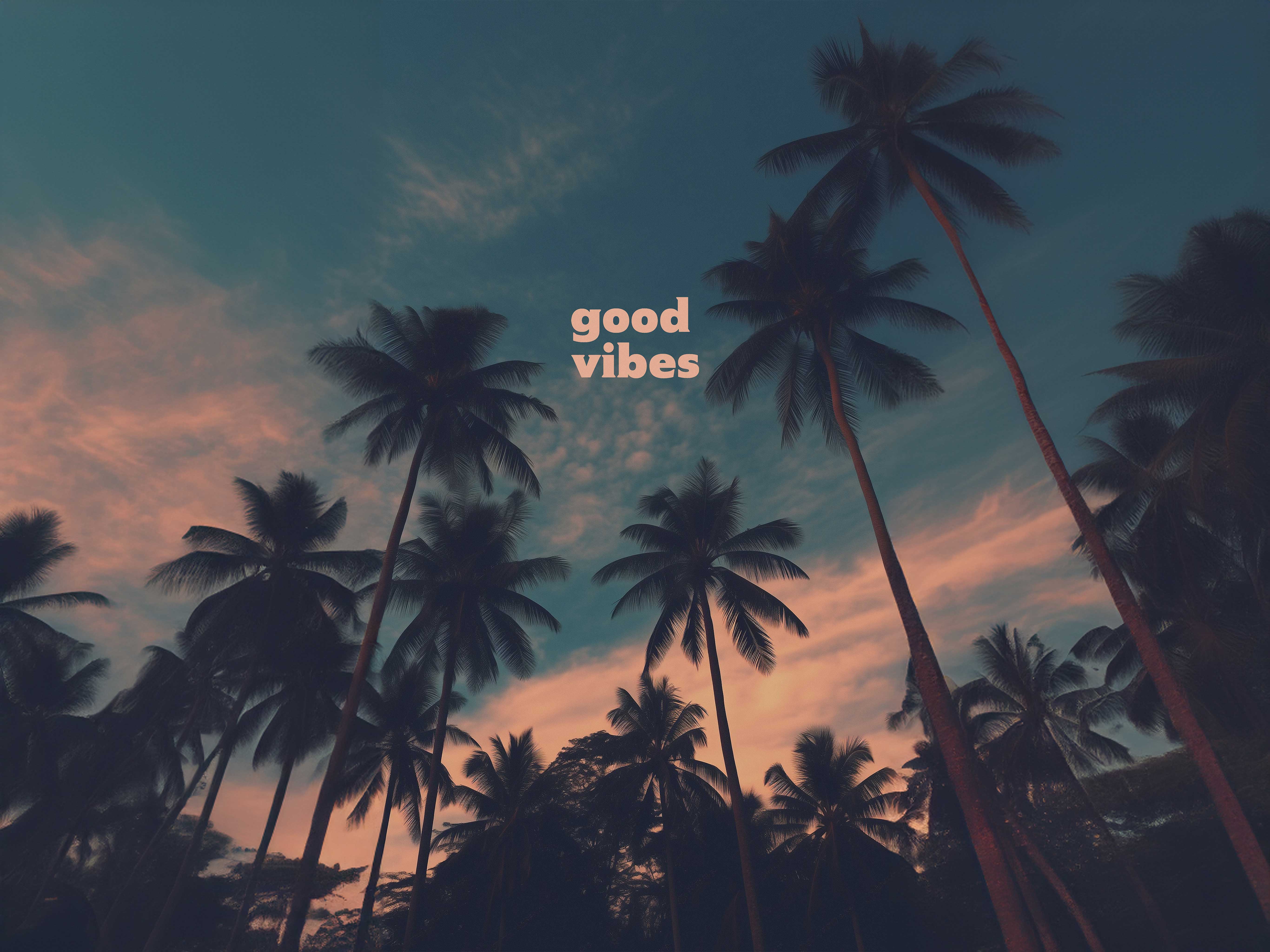 good vibes 椰树黄昏 4K 横版电脑壁纸｜ins 治愈风桌面背景