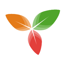 TriliumNext
