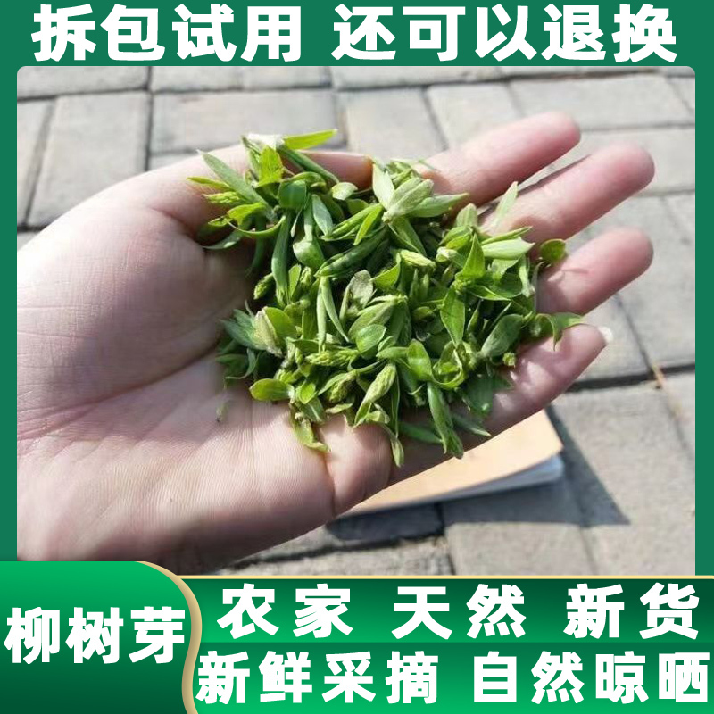 2024 Fresh Willow Bud Herbal Medicine Willow Bud Tea 500g Genuine Willow Bud Tea Farmhouse Sun-Dried Goods