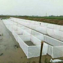 Feeding box Fish thickened frog loach cage Breeding net Special water mesh fishing net Reservoir aquatic fry