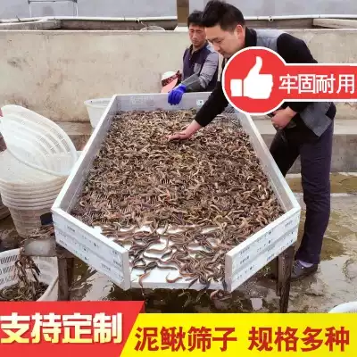 Sieve stainless steel custom 304 large rectangular industrial eel Loach size grading sieve fish sieve cross