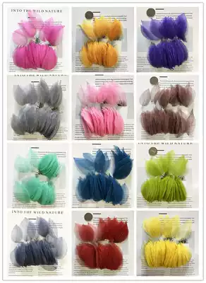 King Kong Ye Zhen leaves vein gift box auxiliary material flowers forever flower specimen bookmarks greeting card dry flower 100 pieces