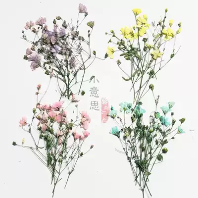 Xiacao Gypsophila dry flowers flower embossed glue mobile phone Protective case aromatherapy wax sheet greeting card decoration flower material