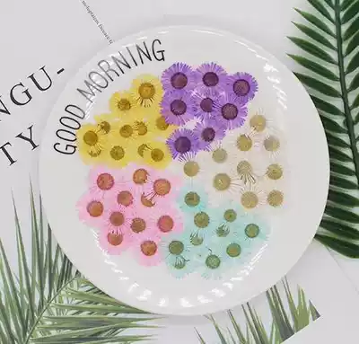 1 4-inch socket wrench, needle, chrysanthemum flower dry flower, embossed painting, toddler face makeup dry flower specimen drop glue mobile phone