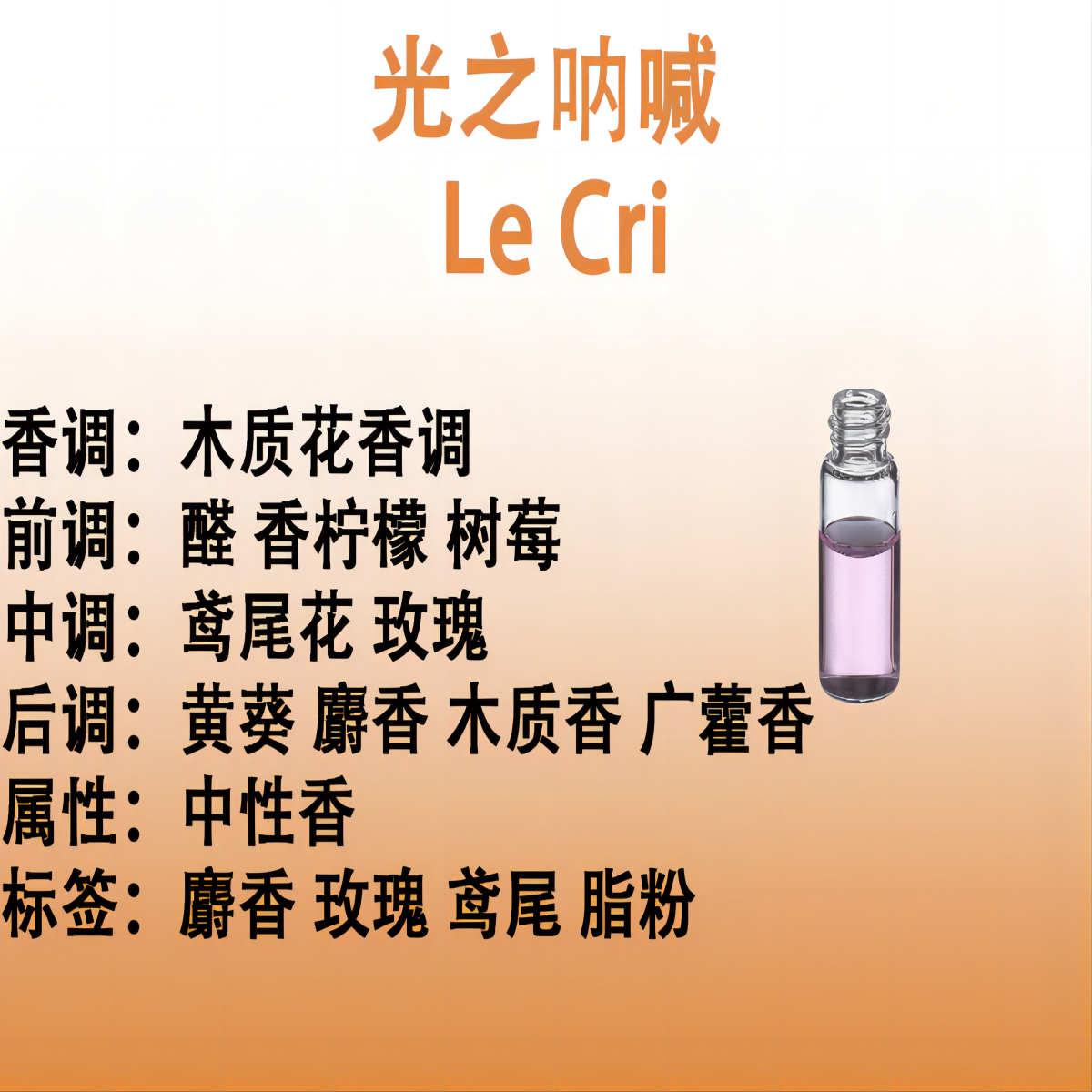 光之呐喊   Le Cri