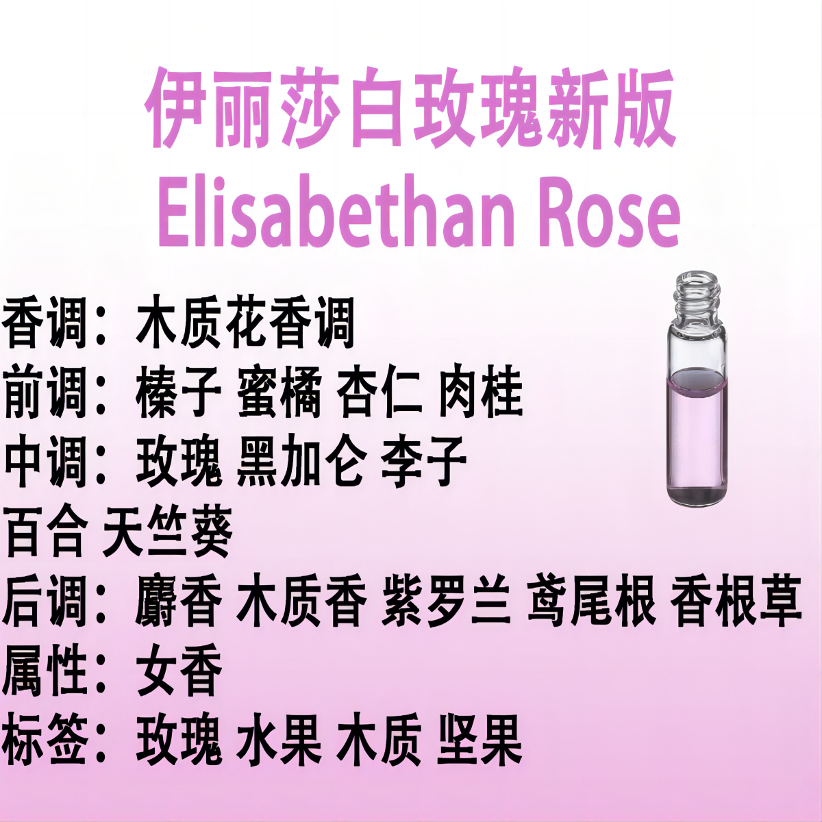 伊丽莎白玫瑰新版  Elisabethan Rose