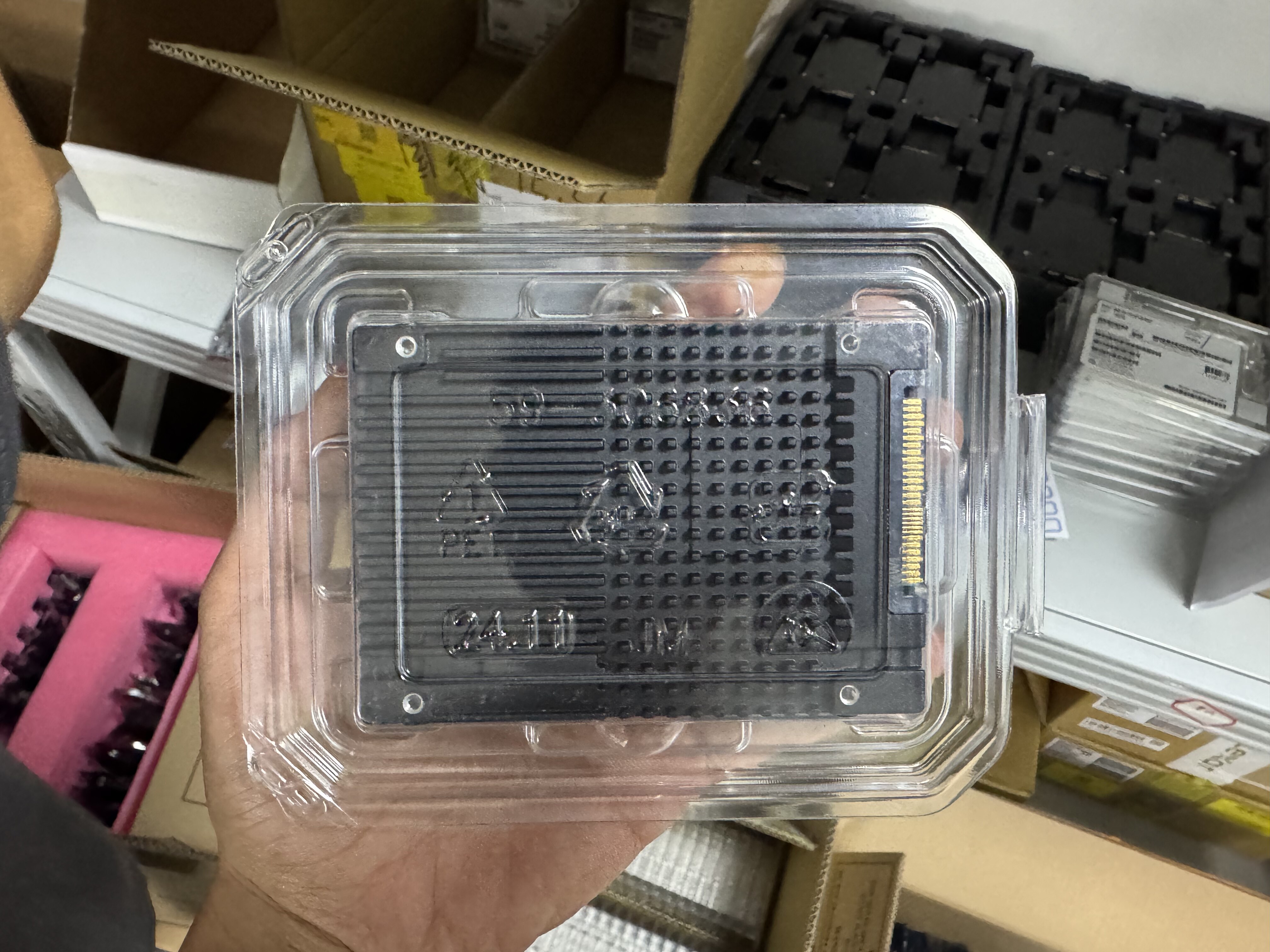 法螺貝 法螺貝（ほら貝）販売のお店