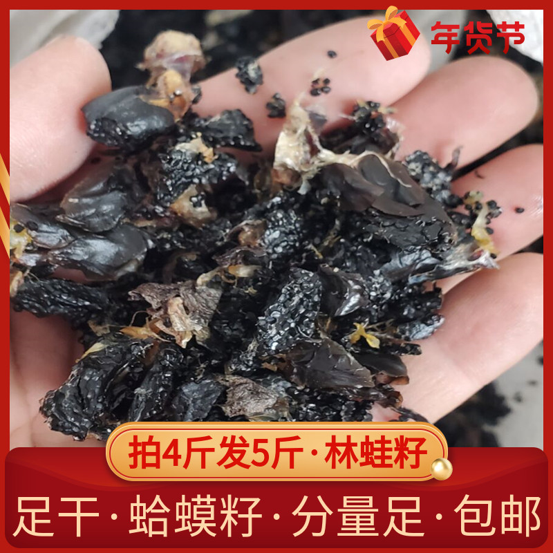 Forest frog seed Northeast toad seed snow clam seed dry goods Northeast specialty snow clam oil seed pure seed does not contain one pound of oil