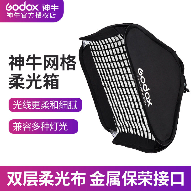 God Bull Grid Soft Light Box 22 * 90 80 * 120 35 * 160CM Paving bayonet grille strip soft light cover