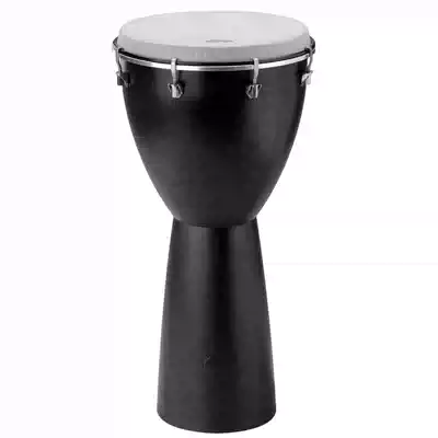 remo Beginner 10 inch advanced early education center orf orf professional teaching tunable Lijiang African drum
