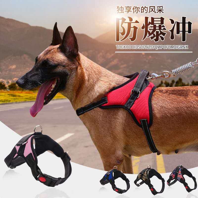 Dog collar adjustable to the Golden Maude Horse Traction Rope Strap with Vest-proof Punch Bandle