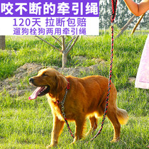 Dog iron chain anti-bite dog chain sub-dog traction rope Item ring Large canine fur special Labrador traction belt