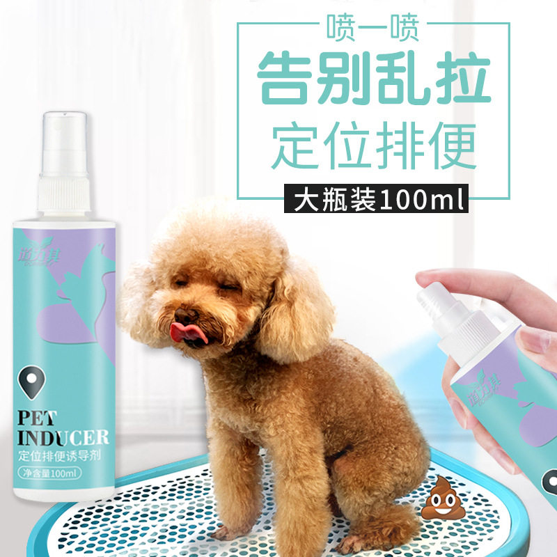 Gold wool side Shepherd's dog supplies training on toilet bowels and defecation puppies locate defecation inducers