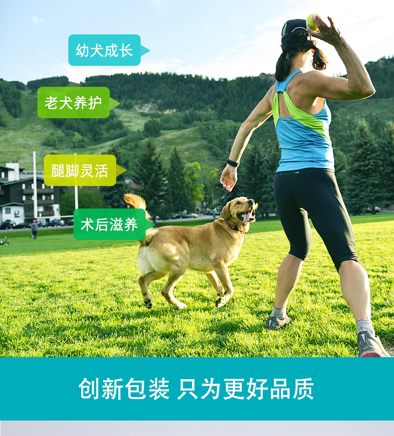 Mua 1 tặng 2 mới Wei Shi chung Shu dog dog trong con chó lớn chondroitin thiếu canxi gãy chân 160 miếng - Cat / Dog Health bổ sung sữa cho mèo mới đẻ