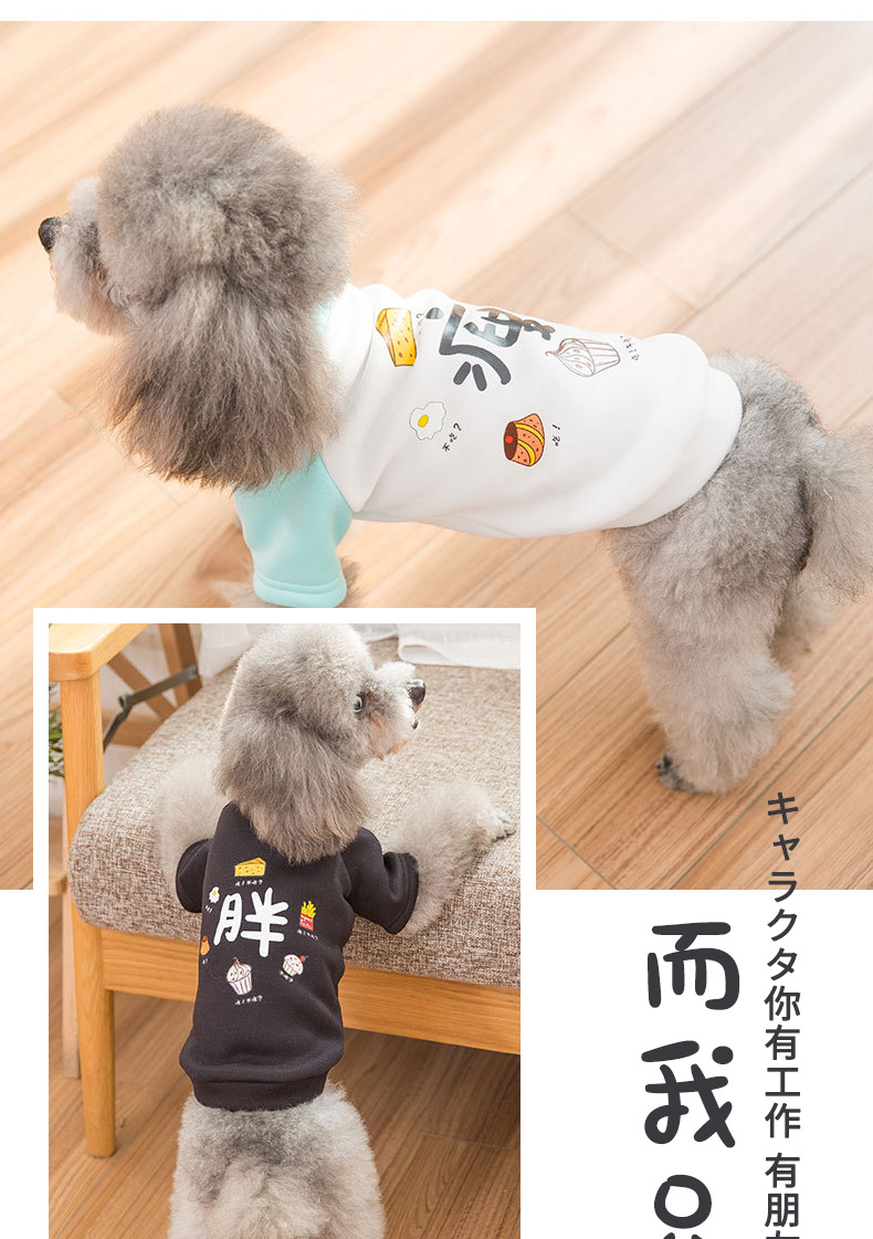 Mùa xuân mới 2019 Quần áo chó Teddy chó nhỏ hơn gấu mùa thu và quần áo mùa đông ấm áp chó bốn chân quần áo thú cưng - Quần áo & phụ kiện thú cưng quần áo thú cưng size lớn