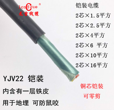 ZR-YJV22 2 3 4 5 core*1 5 2 5 4 6 10 16 square GB copper core armored cable