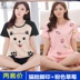 2 bộ quần short pajama giá thiết womens mất cartoon thường sinh viên tươi bông mùa hè mỏng. 