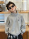 Boys' Spring and Autumn Sweatshirt 2025 New Style Boys' Autumn Casual Long-Sleeve Top Stylish Base Shirt Children's Trendy Clothing