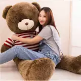 Плюшевая тряпичная кукла, игрушка для сна, подарок на день рождения, панда, 1.6м