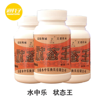 Water Music state Wang No. 3 Fishing bait bottled State powder brushed powder wheat protein bait additive