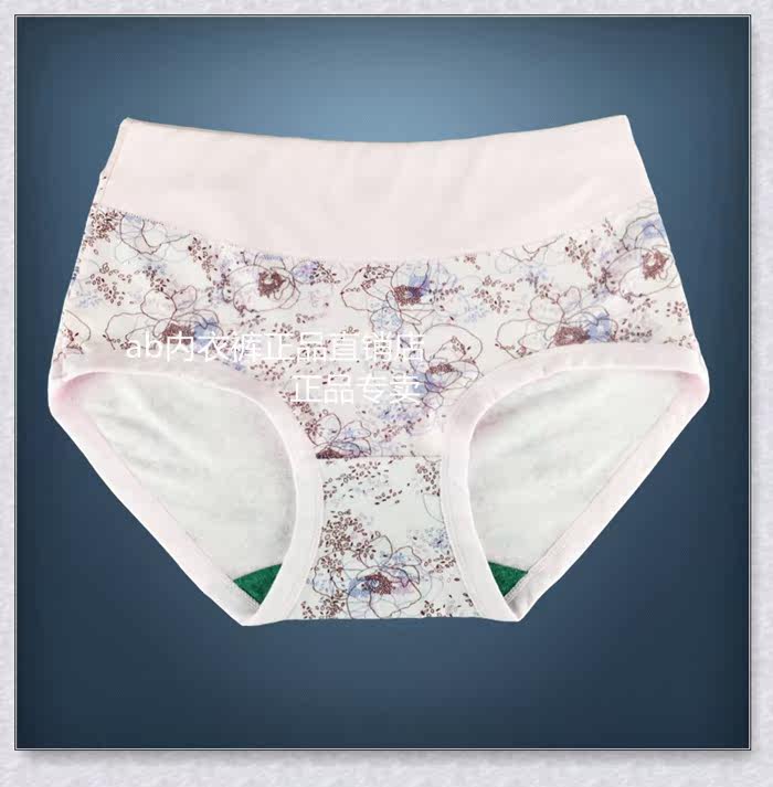 Slip Moyen-âge en coton - Ref 641515 Image 13