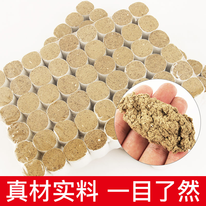 Five years Chen Azhu Wholesale Apillar Eyleaf Lavender Home Short Ai Moxibustion Column Ai Ye Eivet
