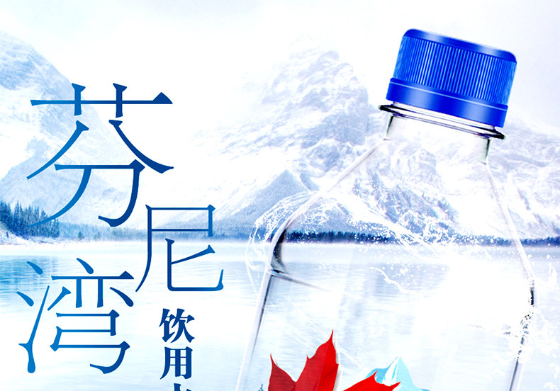芬尼湾 进口冰川饮用天然水 500ml*12瓶整箱 图1