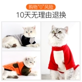 Кошачья одежда домашняя одежда кошачья одежда английская короткая голубая кошачь