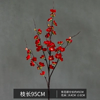 Китайский зимний красный