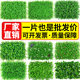 Green planting wall simulation plant lawn wall decoration balcony indoor background flower wall plastic artificial fake turf door head